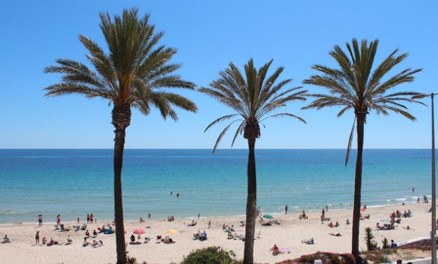 Herverkoop - Appartement / flat -
Pilar de la Horadada - Mil Palmeras