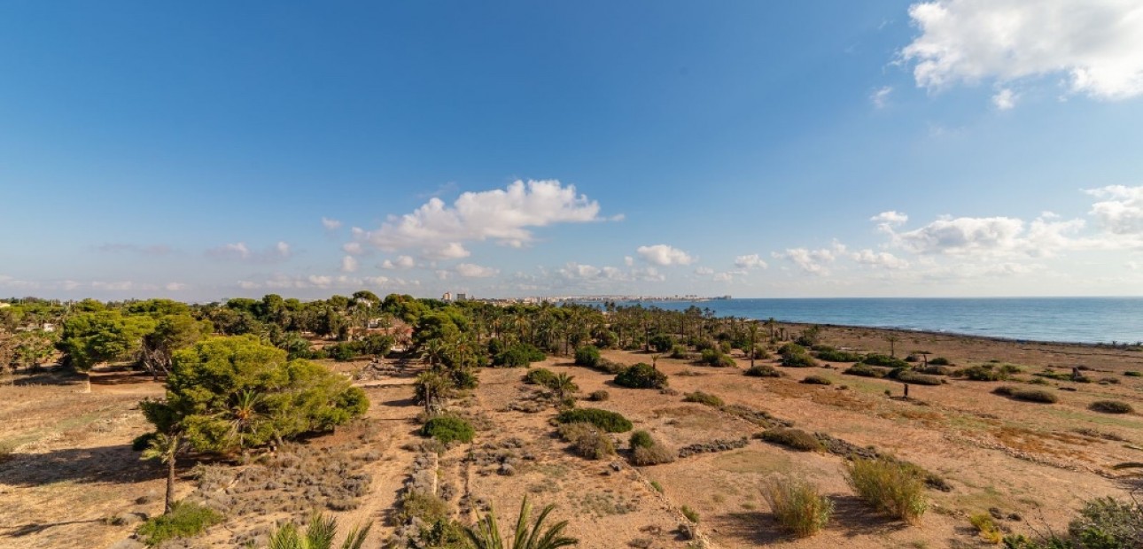 Herverkoop - Appartement / flat -
Punta Prima