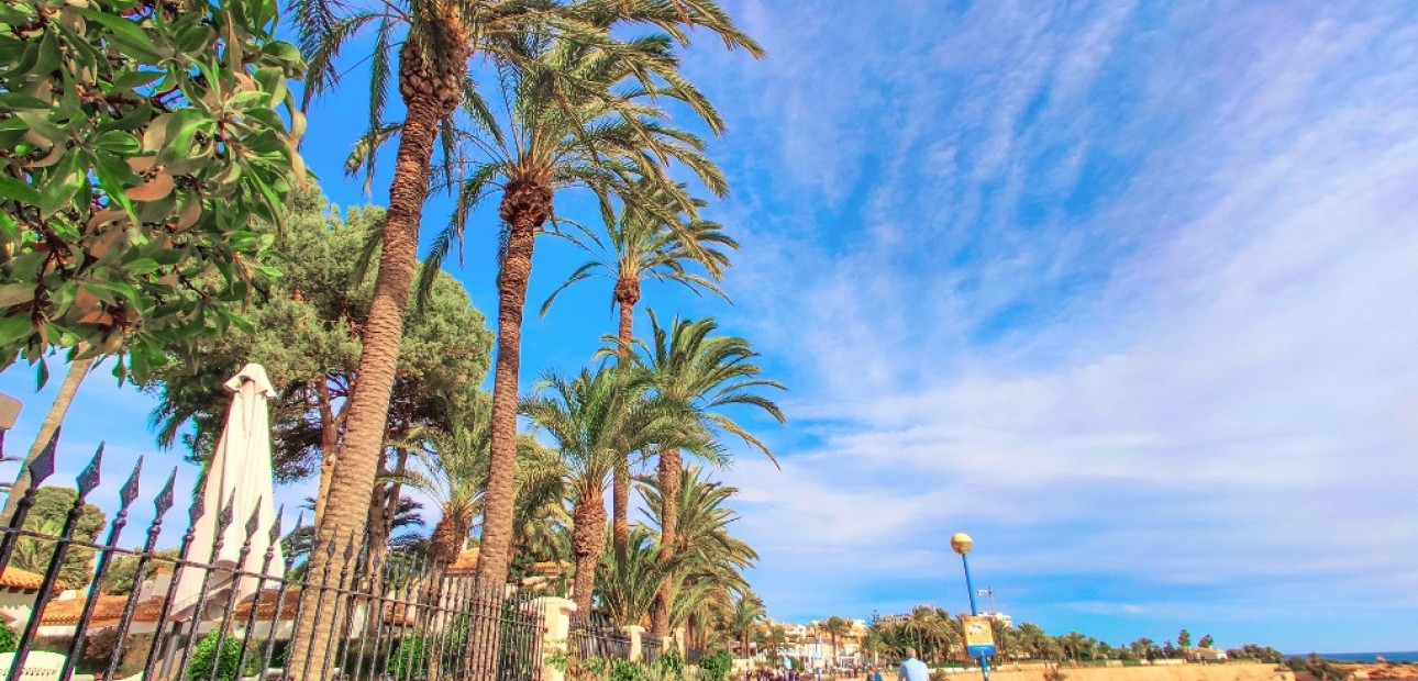 Herverkoop - Appartement / flat -
Punta Prima