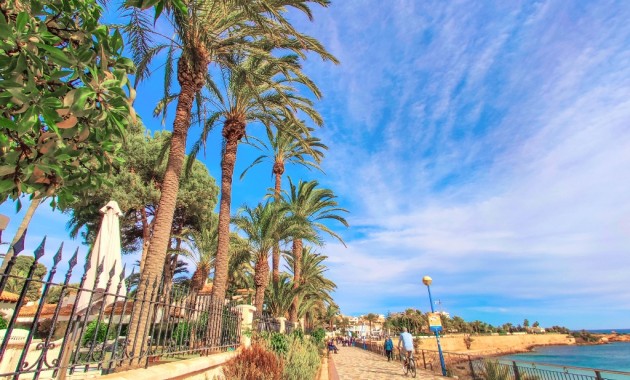 Herverkoop - Appartement / flat -
Punta Prima