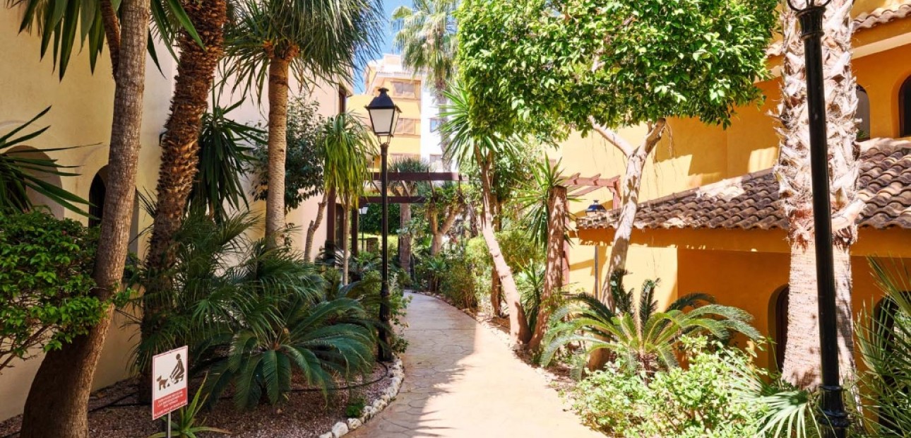 Sale - Apartment / flat -
Punta Prima