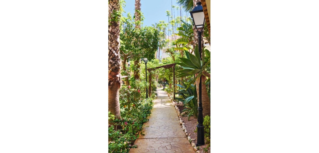 Sale - Apartment / flat -
Punta Prima