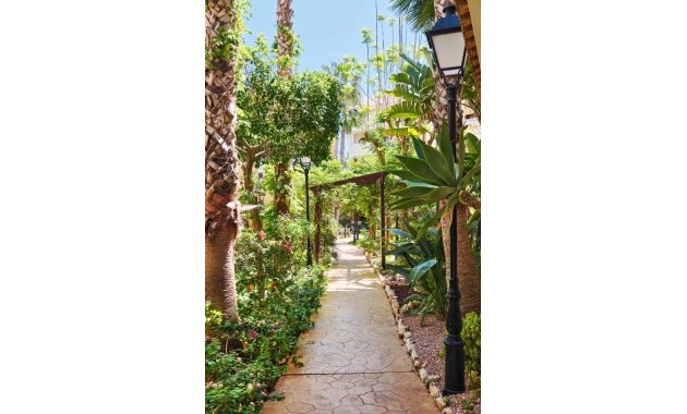 Sale - Apartment / flat -
Punta Prima