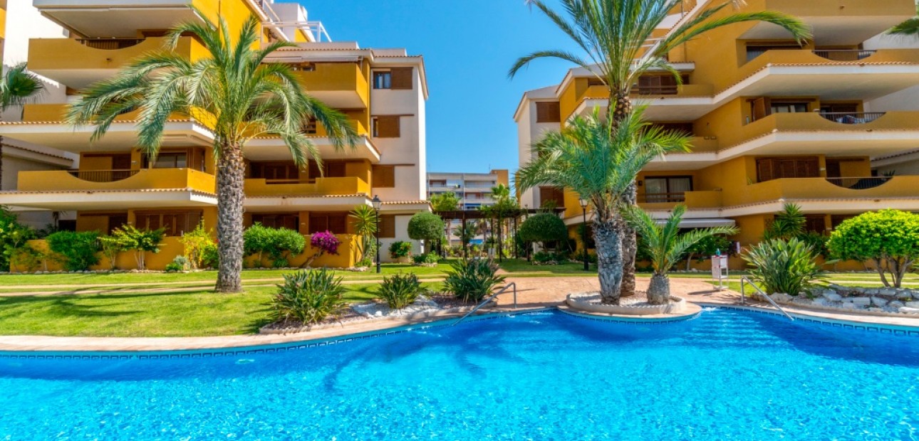 Sale - Apartment / flat -
Punta Prima