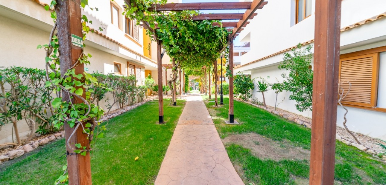 Sale - Apartment / flat -
Punta Prima