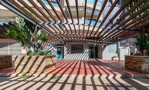 Venta - Apartamento / piso -
La Zenia