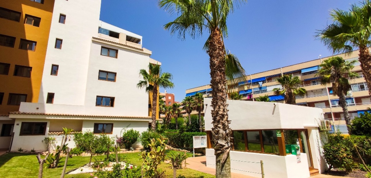 Venta - Apartamento / piso -
Punta Prima