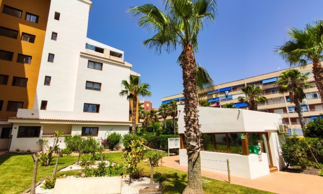 Venta - Apartamento / piso -
Punta Prima