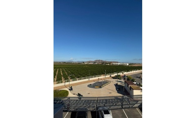 Herverkoop - Appartement / flat -
Torrevieja - Lago jardin