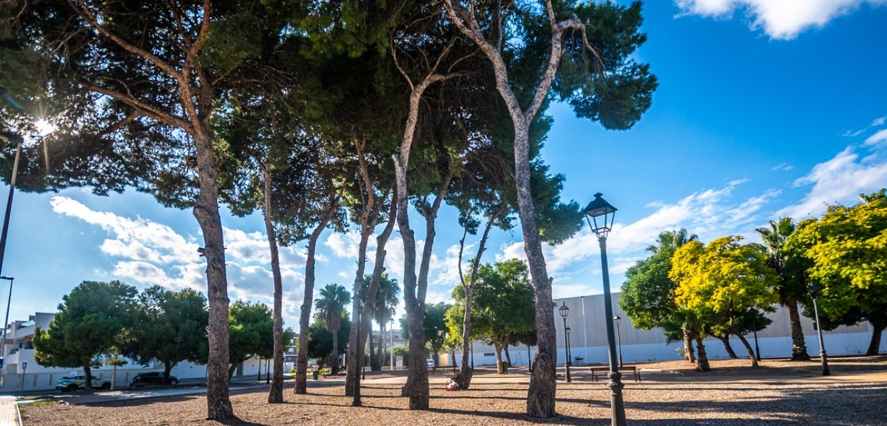 Venta - Ático -
San Pedro del Pinatar