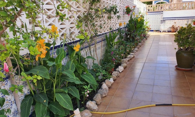 Venta - Bungalow -
Torrevieja - La Mata