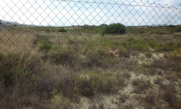 Herverkoop - Country House -
Orihuela - Desamparados-Hurchillo-Torremendo