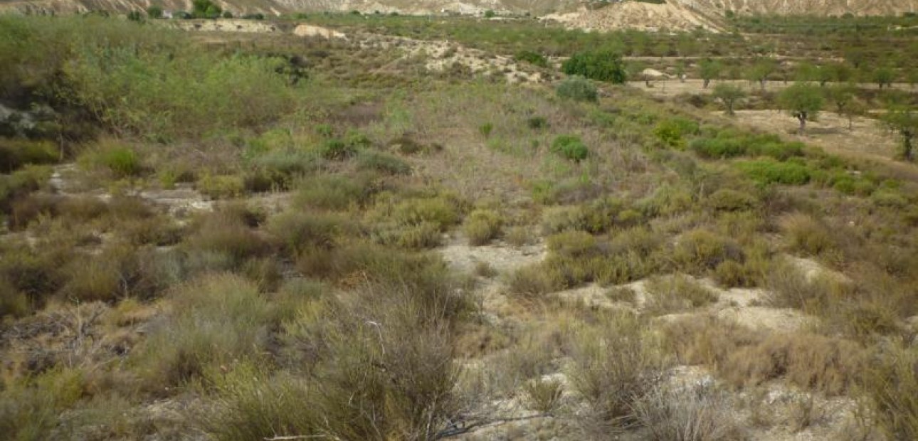 Herverkoop - Country House -
Orihuela - Desamparados-Hurchillo-Torremendo