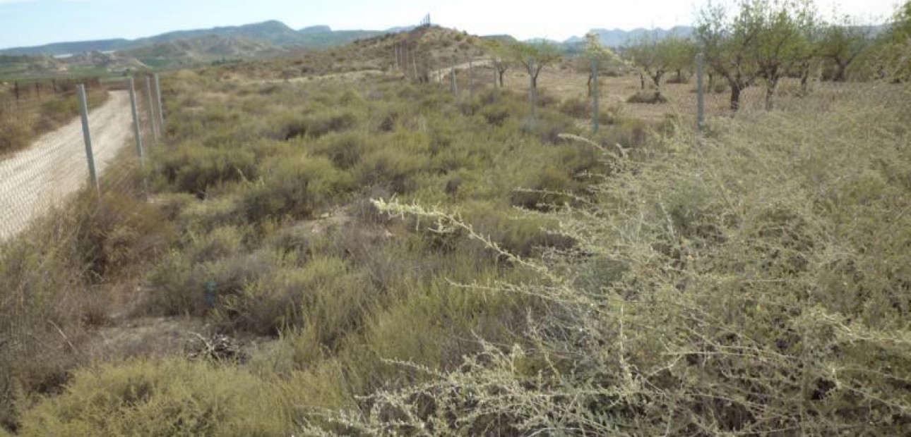 Herverkoop - Country House -
Orihuela - Desamparados-Hurchillo-Torremendo