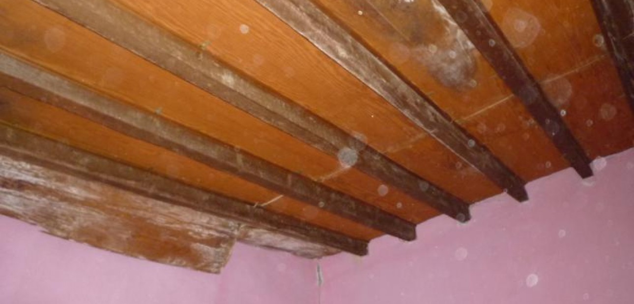 Herverkoop - Country House -
Orihuela - Desamparados-Hurchillo-Torremendo