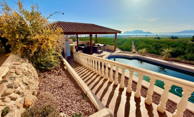 Herverkoop - Finca / Country Property -
Orihuela