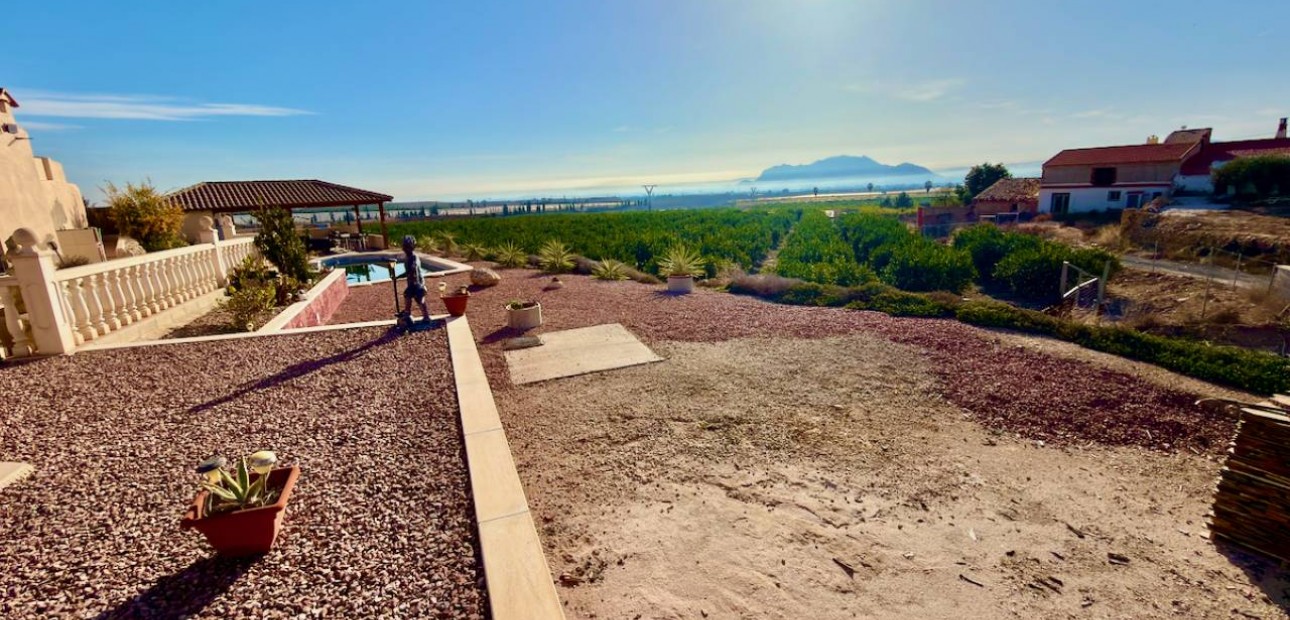 Herverkoop - Finca / Country Property -
Orihuela