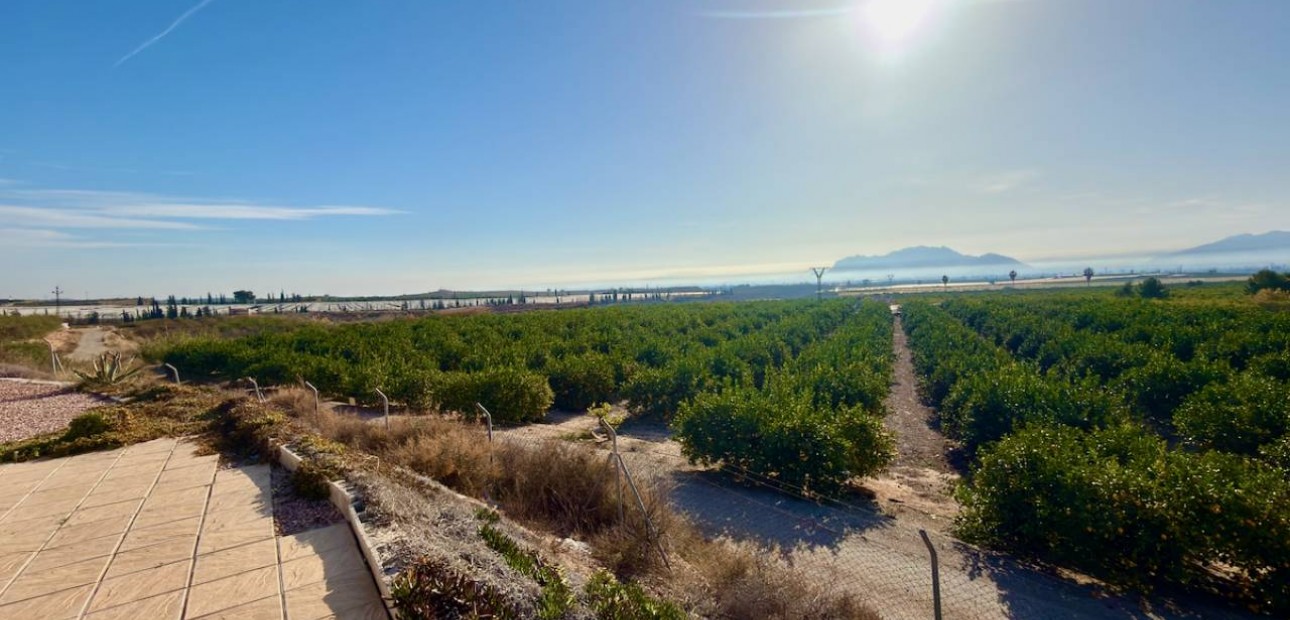 Herverkoop - Finca / Country Property -
Orihuela