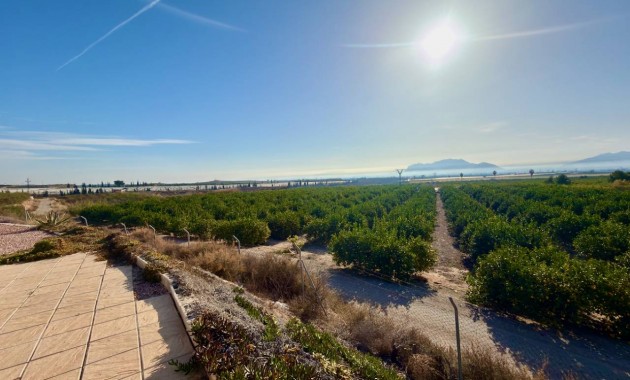 Herverkoop - Finca / Country Property -
Orihuela