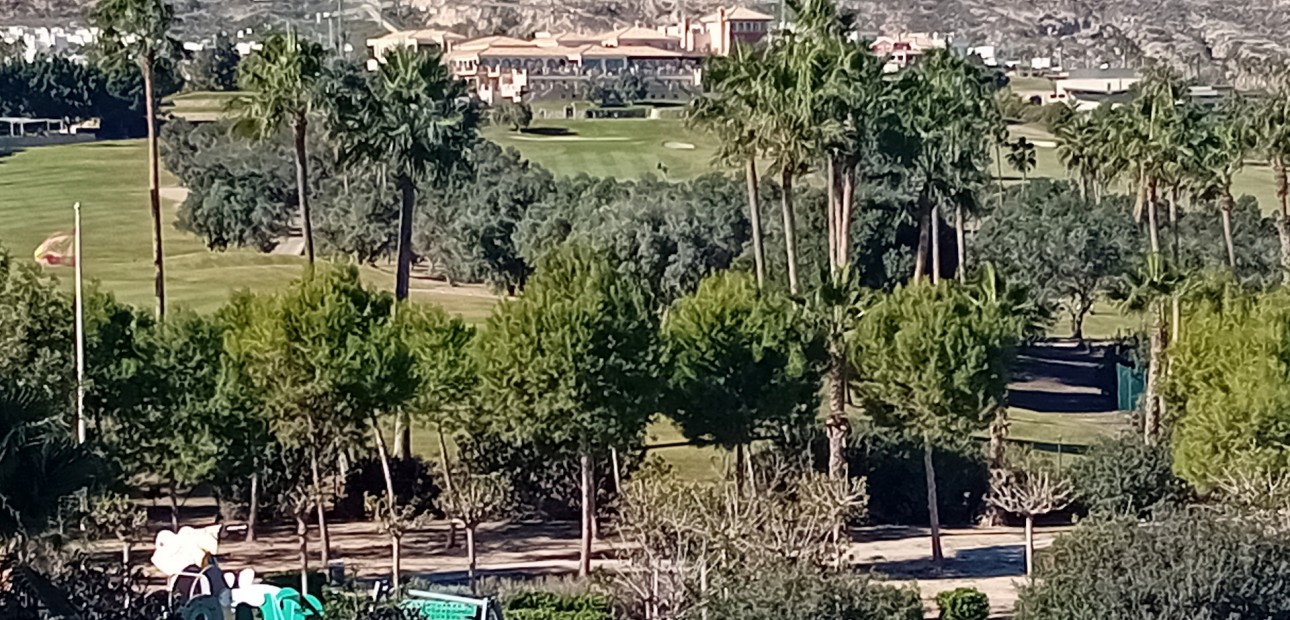 Venta - Detached Villa -
Algorfa - La Finca Golf Resort