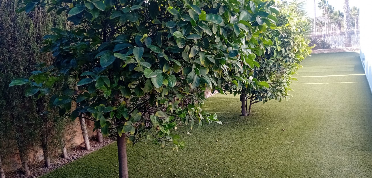 Venta - Detached Villa -
Algorfa - La Finca Golf Resort