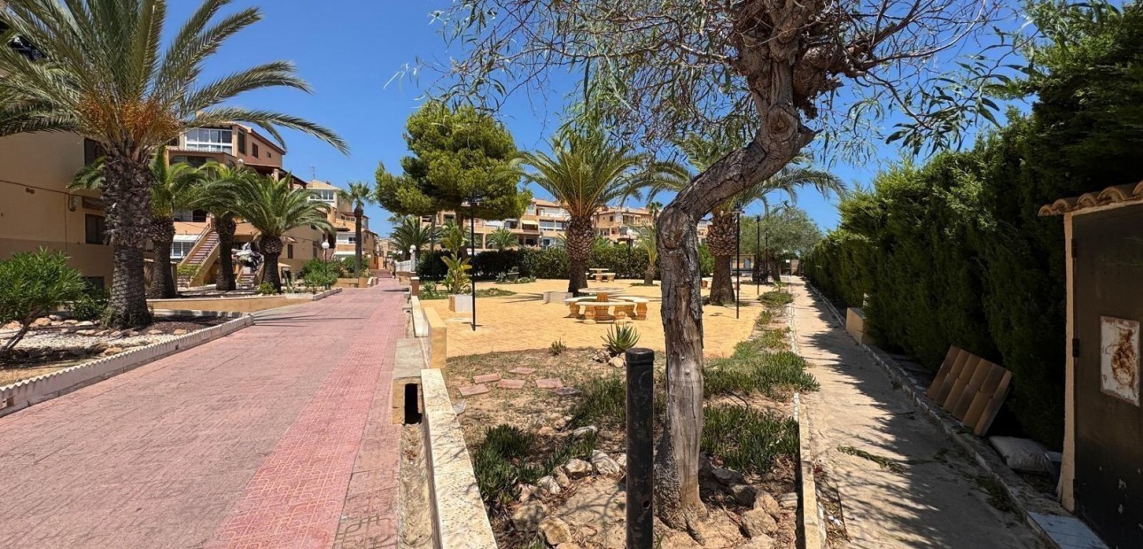 Venta - Studio -
Torrevieja - torrevieja