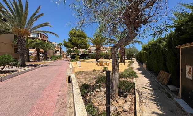 Venta - Studio -
Torrevieja - torrevieja