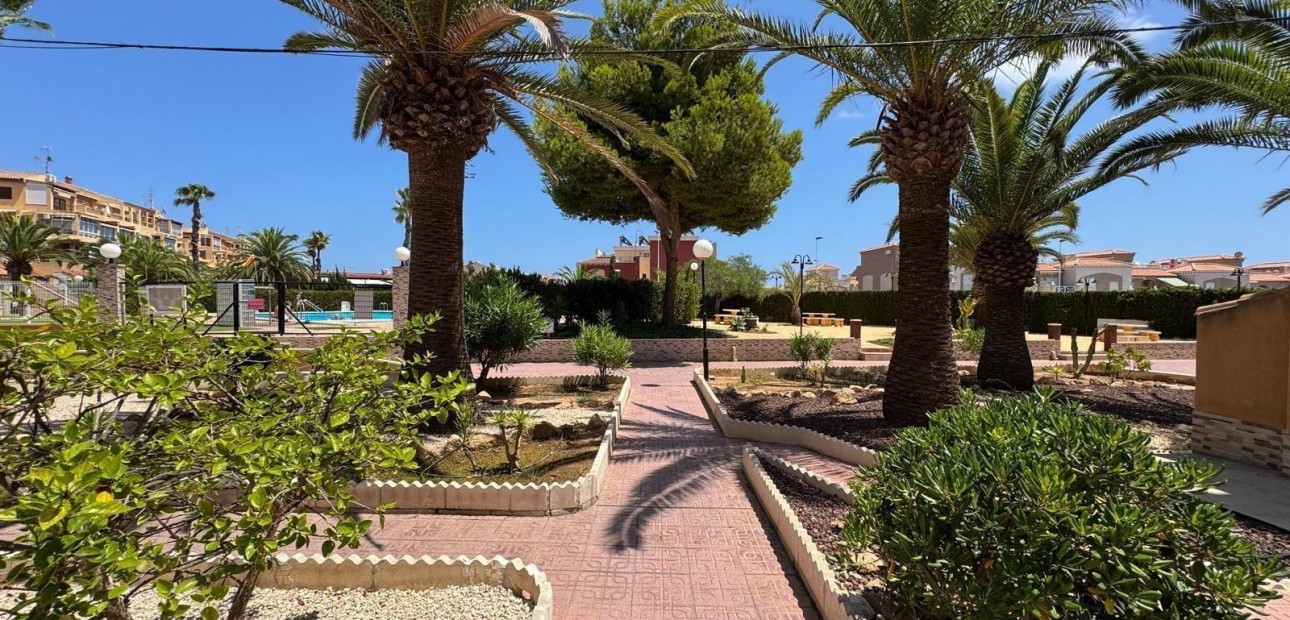 Venta - Studio -
Torrevieja - torrevieja