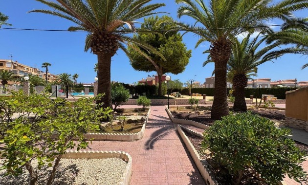 Venta - Studio -
Torrevieja - torrevieja