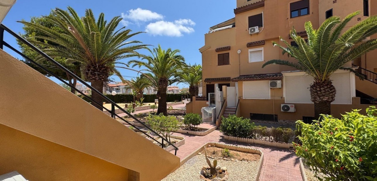 Venta - Studio -
Torrevieja - torrevieja