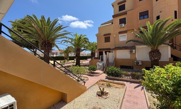 Venta - Studio -
Torrevieja - torrevieja