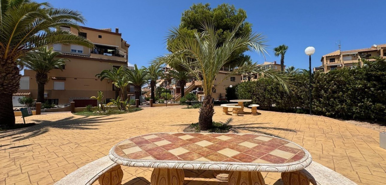 Venta - Studio -
Torrevieja - torrevieja