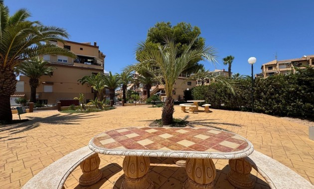 Venta - Studio -
Torrevieja - torrevieja