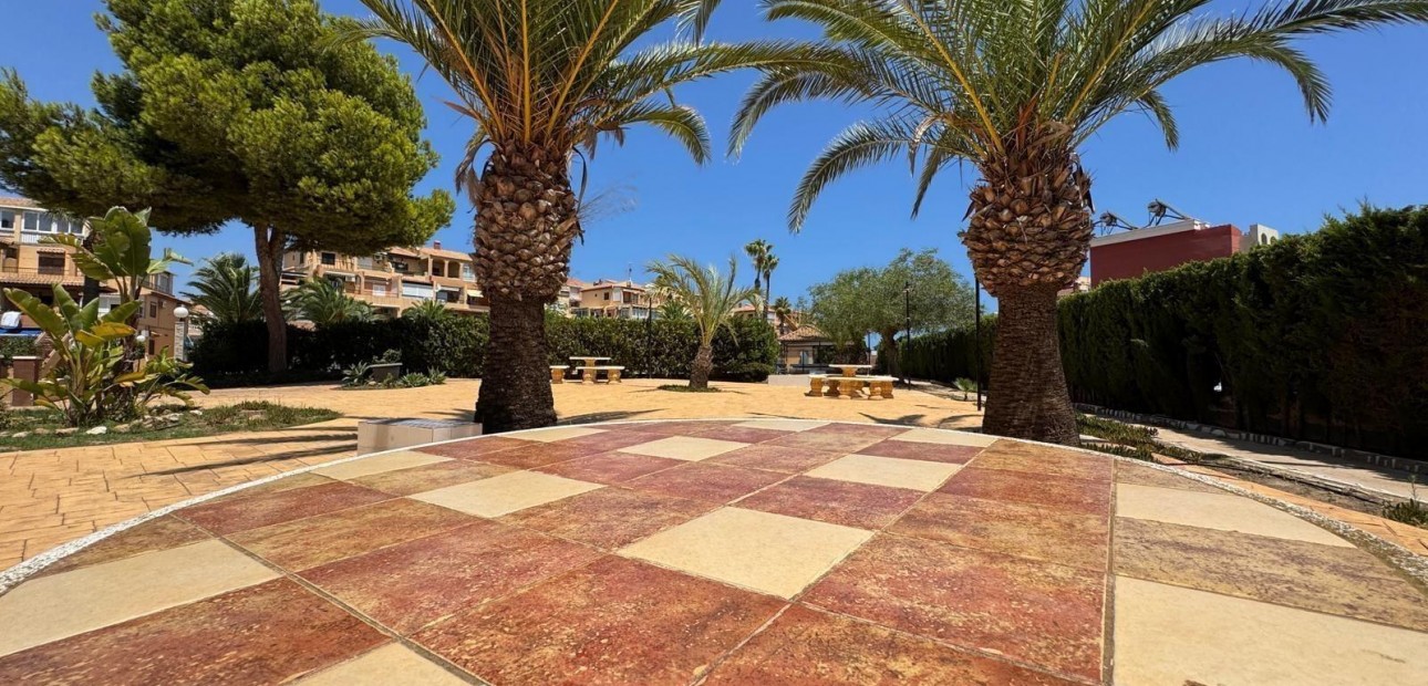 Venta - Studio -
Torrevieja - torrevieja