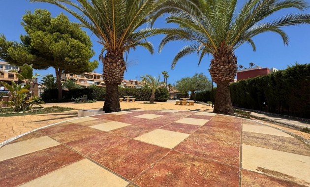 Venta - Studio -
Torrevieja - torrevieja