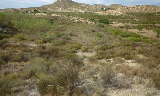 Herverkoop - Country House -
Orihuela - Desamparados-Hurchillo-Torremendo