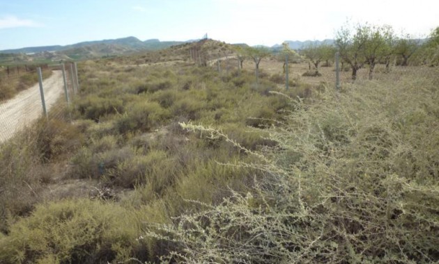 Herverkoop - Country House -
Orihuela - Desamparados-Hurchillo-Torremendo