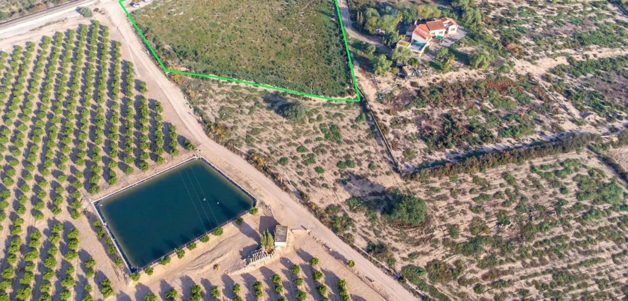 Herverkoop - Country land -
Crevillent - Comunidad valenciana