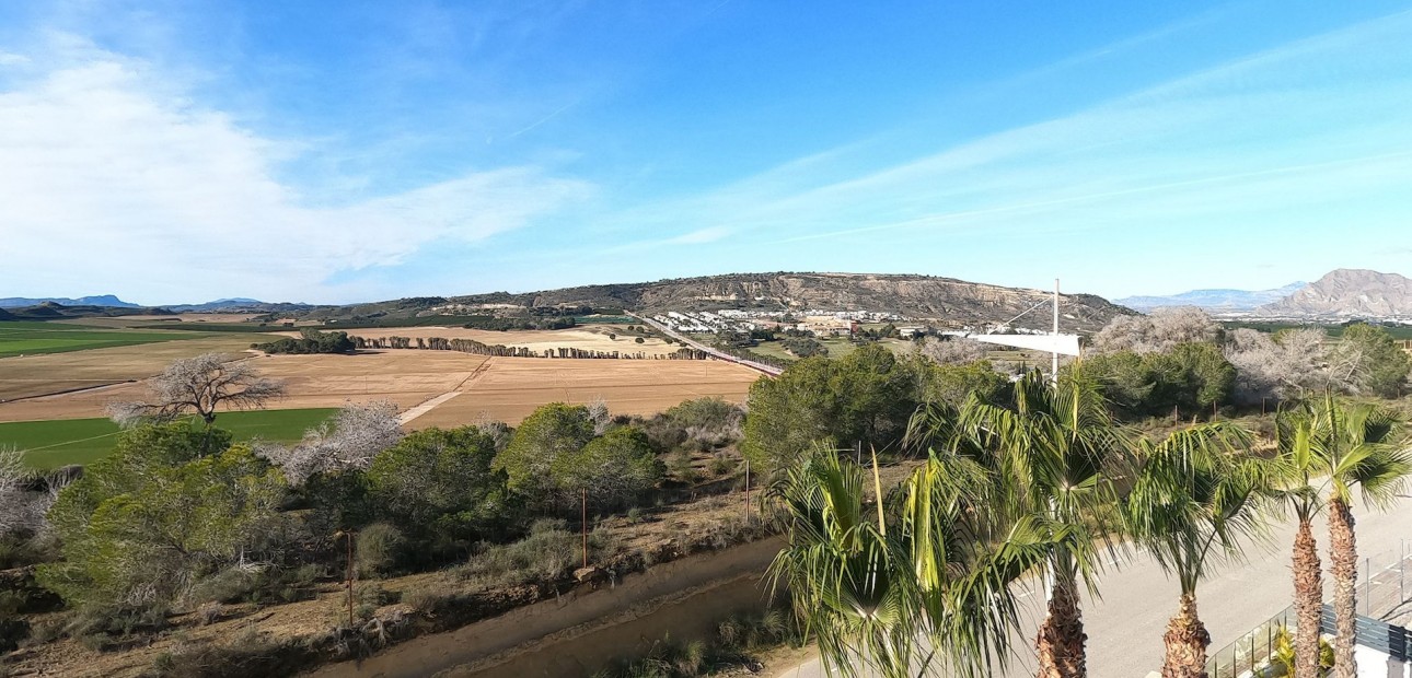 Venta - Detached Villa -
Algorfa - La Finca Golf Resort