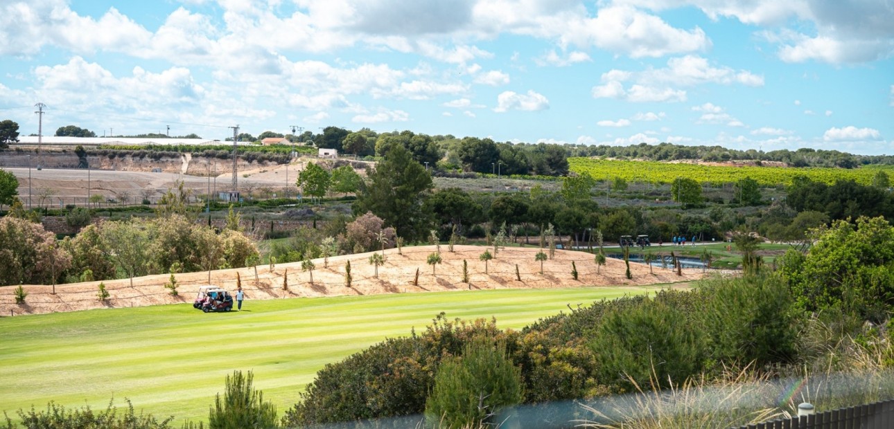 Venta - Apartamento / piso -
Pilar de la Horadada