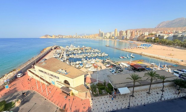 Venta - Apartamento / piso -
Benidorm - Poniente