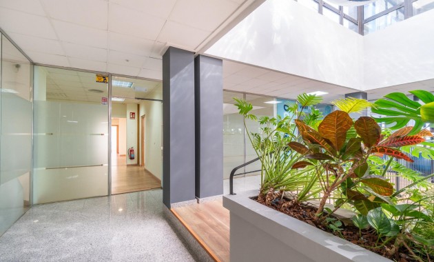 Long time Rental - Commercial Unit -
Orihuela Costa - Playa Flamenca