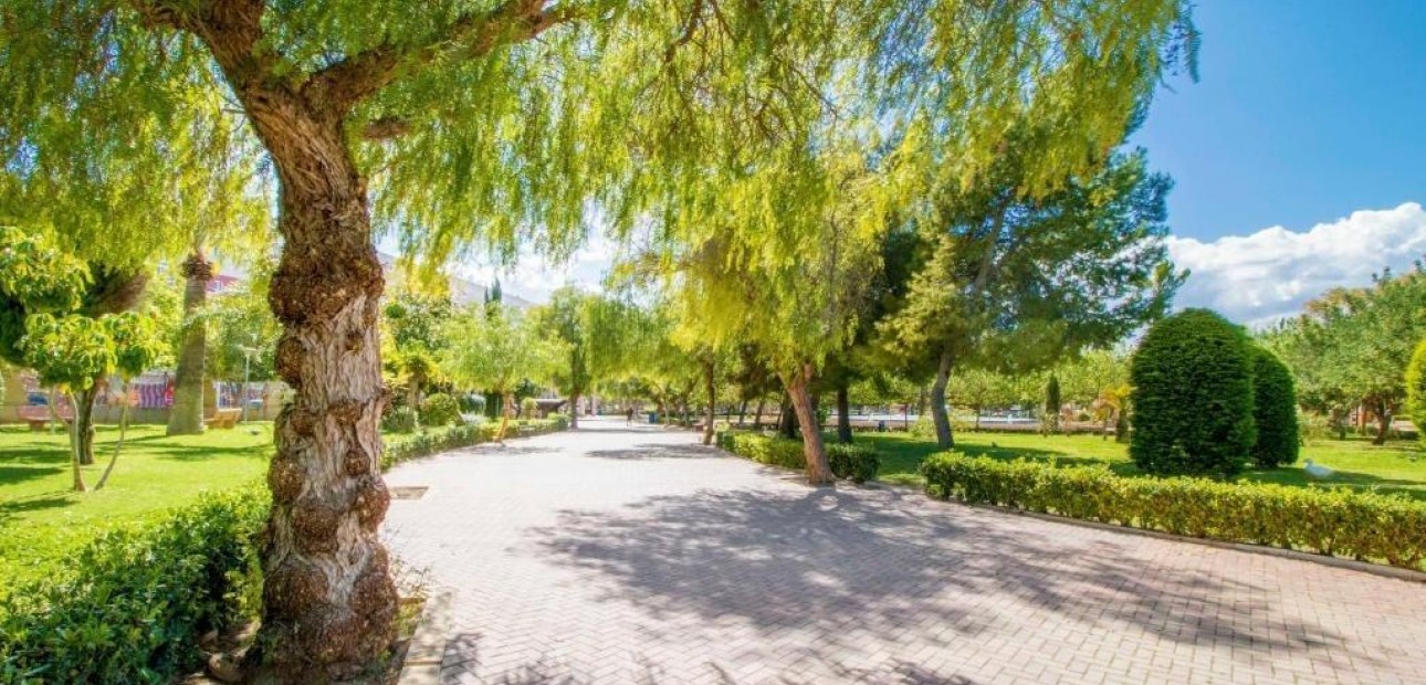 Venta - Apartamento / piso -
Torrevieja - Centro