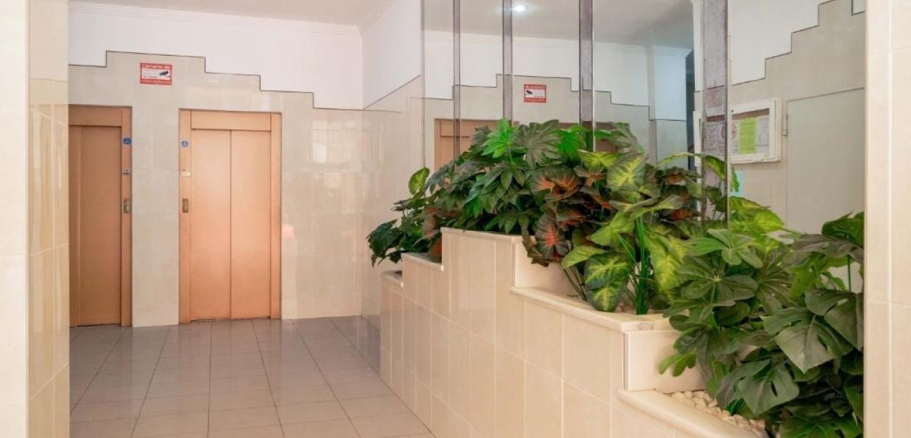 Venta - Apartamento / piso -
Torrevieja - Centro