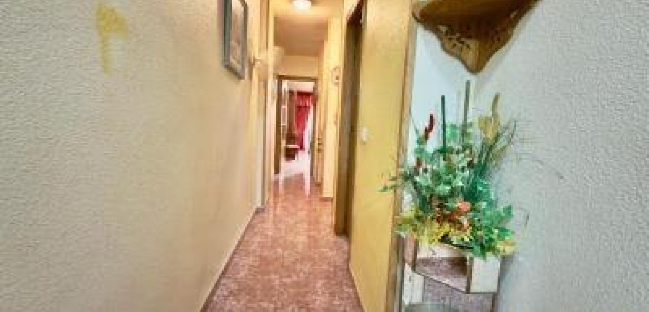 Venta - Apartamento / piso -
Torrevieja - Acequion