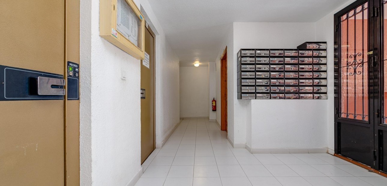 Herverkoop - Studio -
Torrevieja - torrevieja