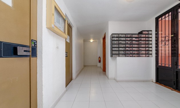 Herverkoop - Studio -
Torrevieja - torrevieja