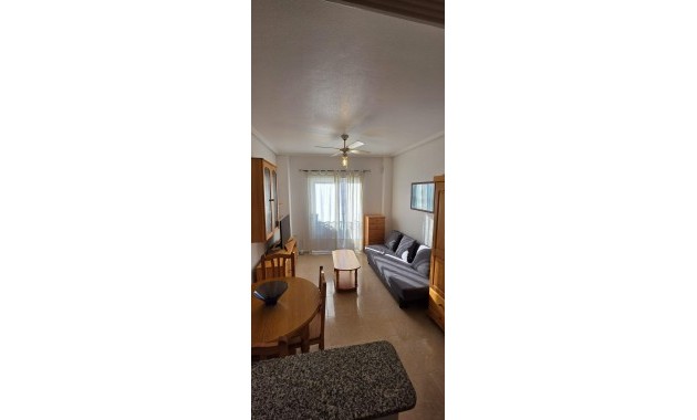 Herverkoop - Studio -
Torrevieja - torrevieja