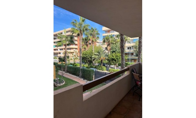 Herverkoop - Appartement / flat -
Torrevieja - Punta prima