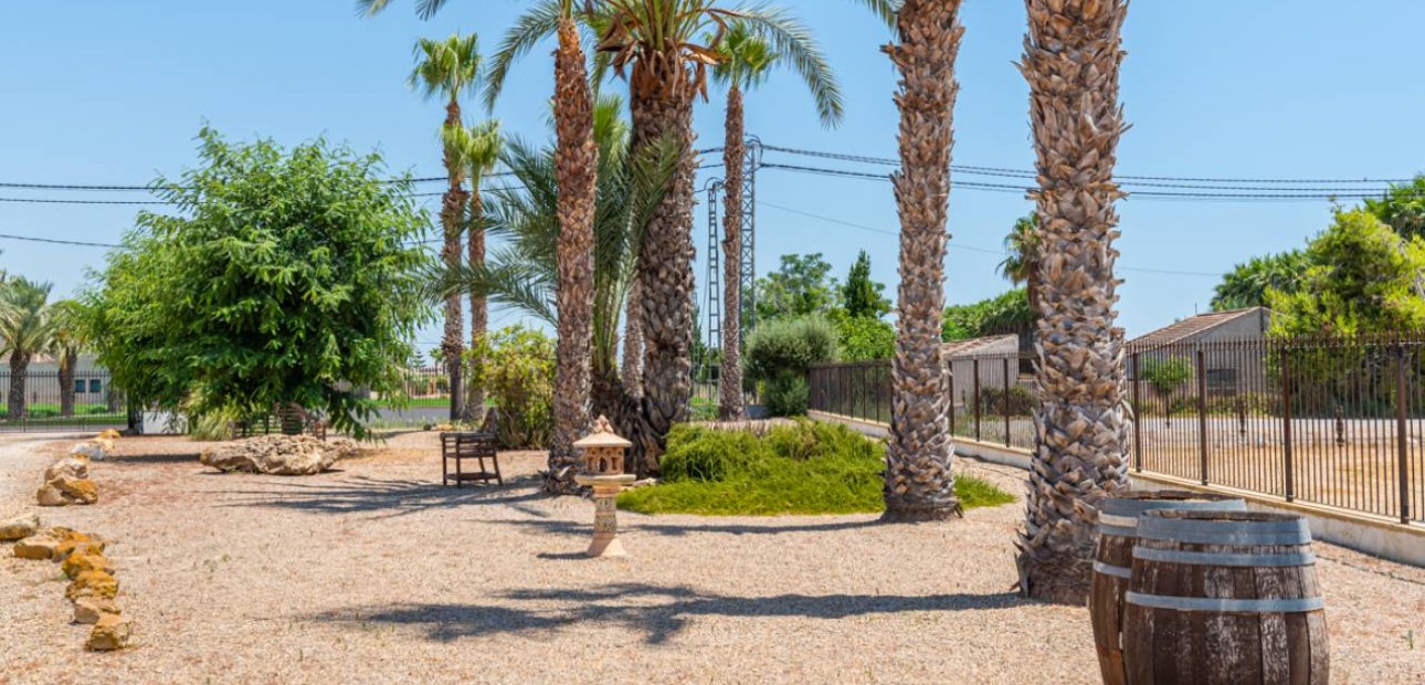 Venta - Finca / Country Property -
Catral